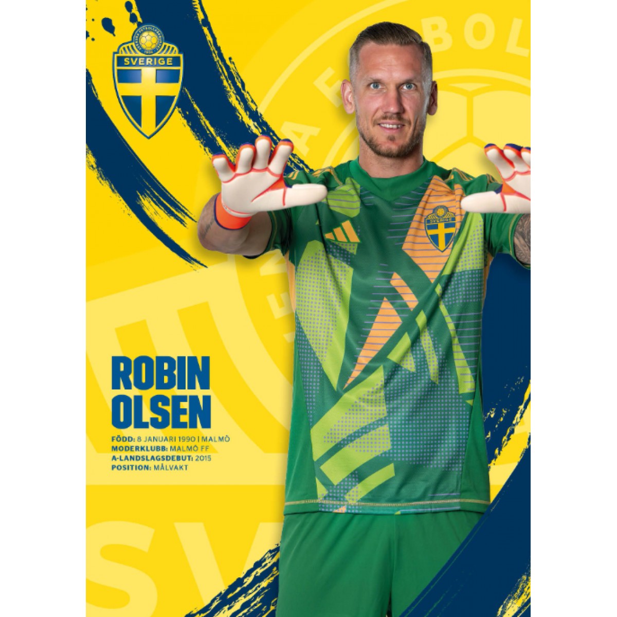 Poster 50x70cm Robin Olsen