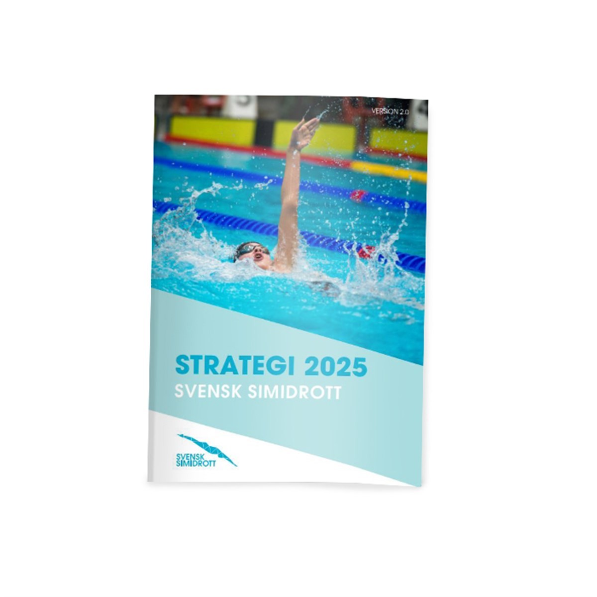 Strategi 2025 Standard