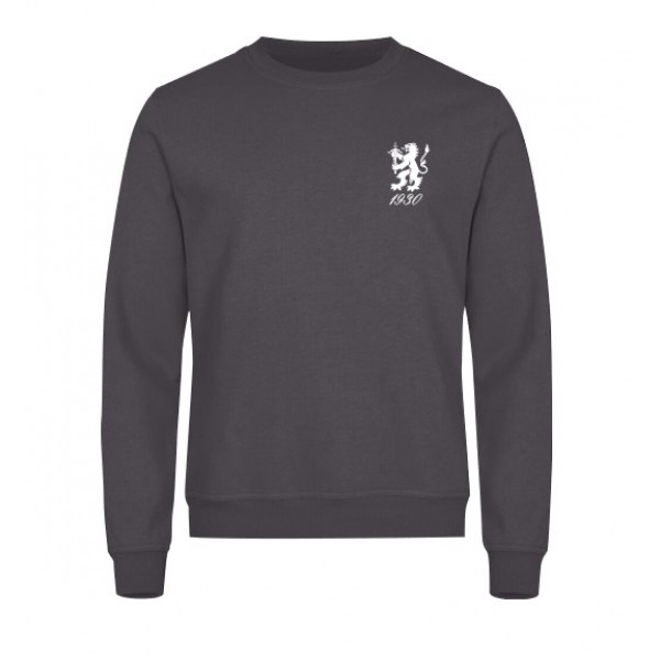 Smålands Lejon Sweatshirt Grå